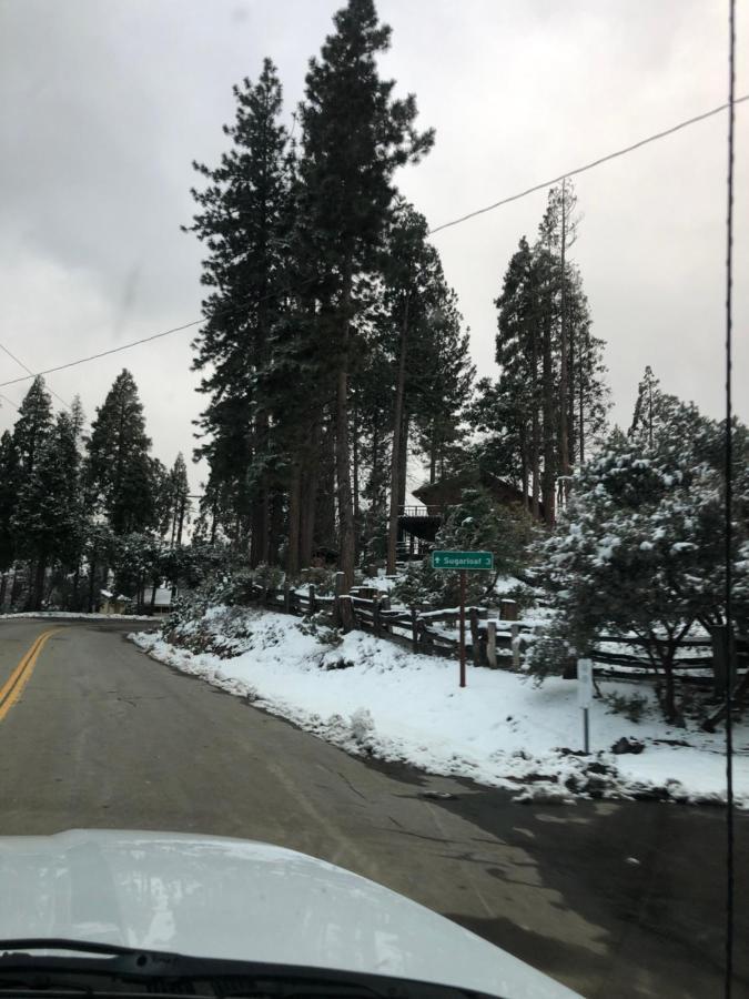 Sequoia National Forest Cabinh Panorama Heights ภายนอก รูปภาพ