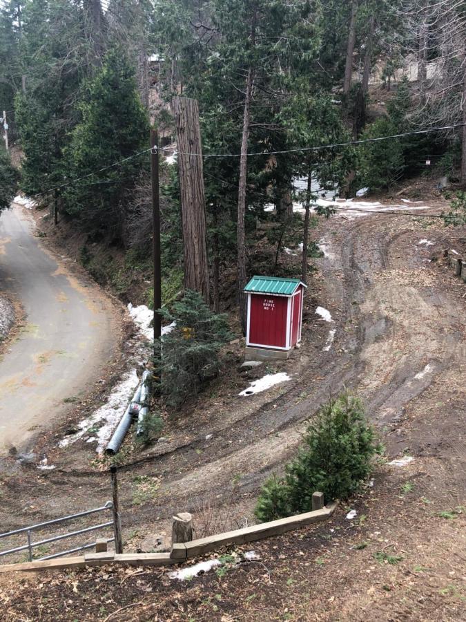 Sequoia National Forest Cabinh Panorama Heights ภายนอก รูปภาพ